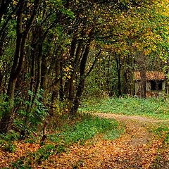 photo "fairy house"