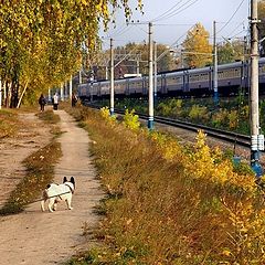 photo "Autumn in the city"