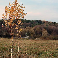 фото "Осенняя зарисовка"