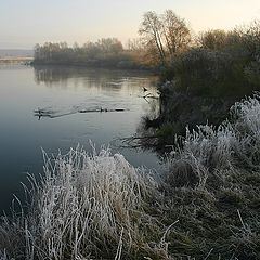 фото "Заморозки"