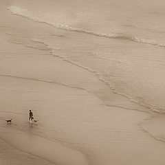 photo "Walking with Friends"