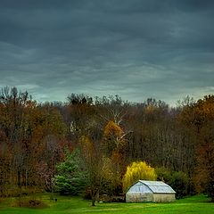 photo "Days of Autumn"