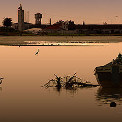 photo "Tagus River"