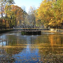 фото "краски осени"