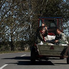 фото "Все, сдаюсь, не стреляй! :)"