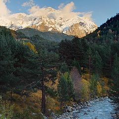 photo "Posets peak in the evening"