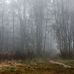 фото "Туман в лесу"