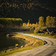 фото "Дорога в осень"