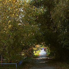 фото "Тоннель"