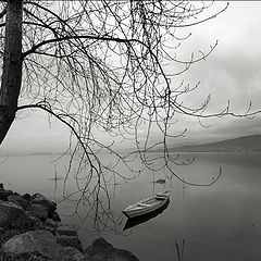 фото "The Lake"