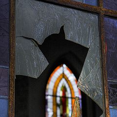 фото "The broken window"