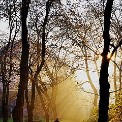 фото "Осенняя атмосфера"