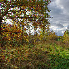 photo "***"