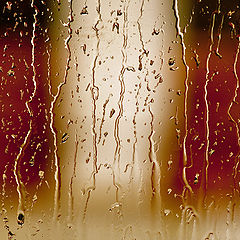 фото "Rainy Day"