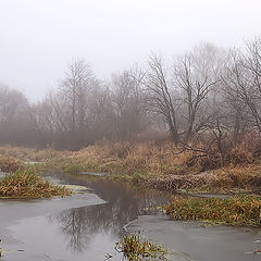 фото "Старица"