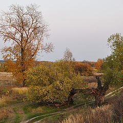 фото "Осенняя грусть"