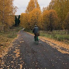 фото "Дорога в осеннюю даль."