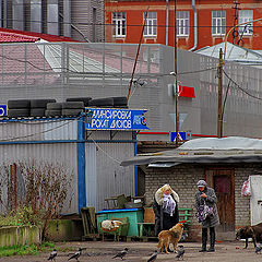 photo "***"
