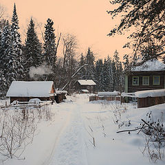 фото "Вечер в лесу"