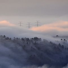 photo "IN THE CLOUDS"