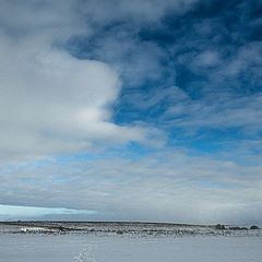 фото "Заснеженная равнина"