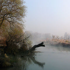 фото "Туман над рекой"