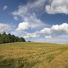 фото "На излете лета"