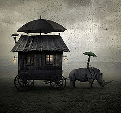 photo "Rhino rider in journey"