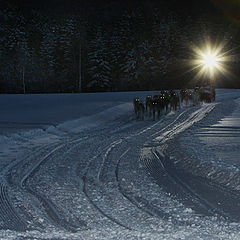 photo "Arrival on the check point"