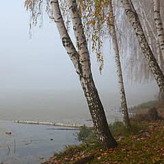 фото "Рыбак в тумане"