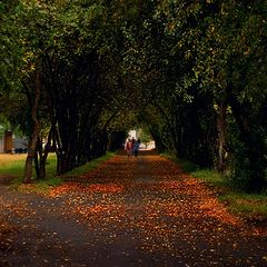 фото "Аллея"