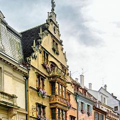 фото "Alsace"