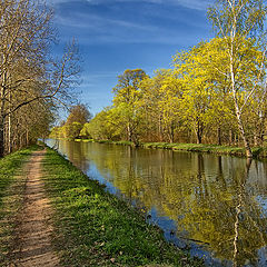 фото "Два"