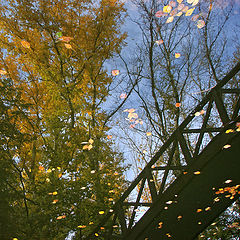 photo "..Autumn Bridge.."