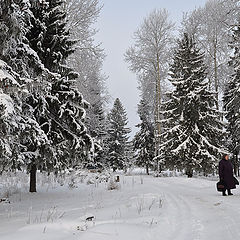 фото "Встретились"