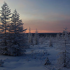 фото "Светает"