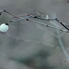 фото "Про балет."