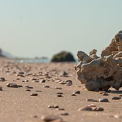 фото "Морские камешки"