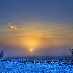 photo "Winter Sunrise"
