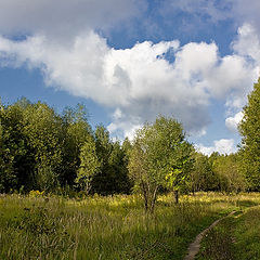 фото "По дороге с облаками"