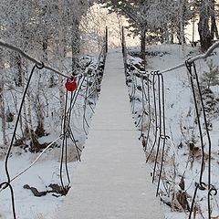 фото "КРАСНОЕ и черное"