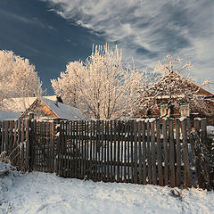 фото "Зимний дворик"