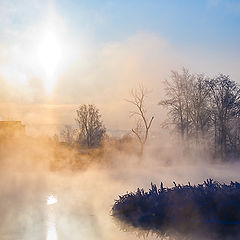 фото "Зимняя"