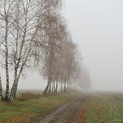 фото "Туманов пора..."