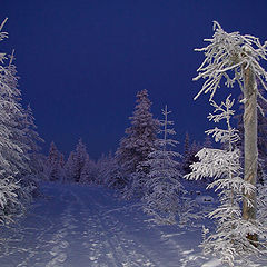 фото "Дорога в Полярную ночь"