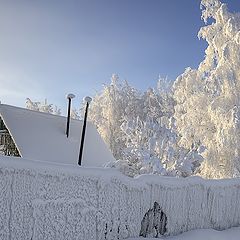 фото "В зимнем одеянье"