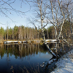 фото "Запоздалая зима"