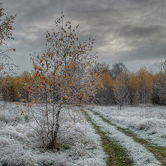 фото "По дорожке в зиму."