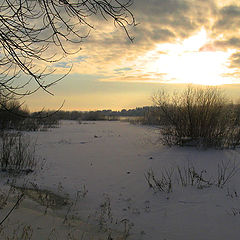 photo "Evening in December."