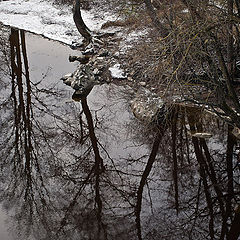 photo "***"
